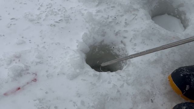 Онлайн.Спортзона смотреть онлайн