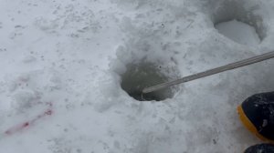 Онлайн.Спортзона