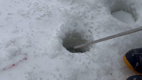 Онлайн.Спортзона