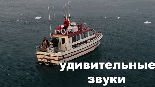 Звучание Антарктиды