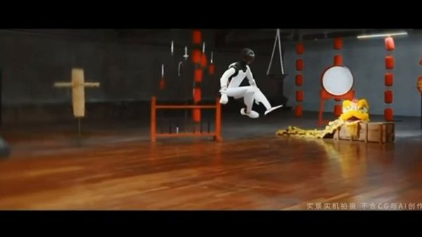 Робот владеет кунг-фу