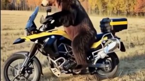 petal_20260216_171140.mp4