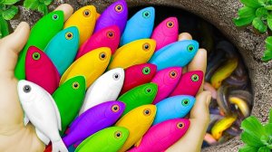 МУЛЬТИКИ ДЛЯ ДЕТЕЙ: ЛОВИМ ЯРКИХ РЫБОК ПОПУГАЕВ И ГОЛОВАНОВ СИНИЙ ТРАКТОР