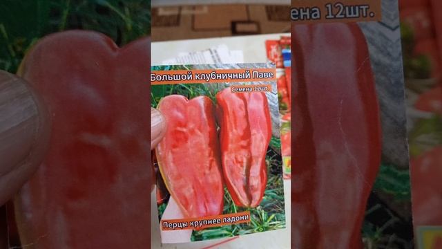 какие сорта перца буду сеять в 2026 году смотреть онлайн