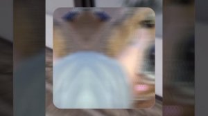 1000048736.mp4 (Собака наблюдает за устройством лестницы на 2 этаж в доме А-фрейм)