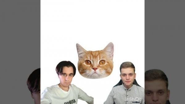 конкурс видео!