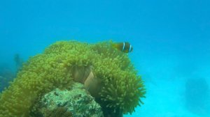 4 метра вниз