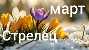 Таро расклад для Стрельцов на март 2026 года