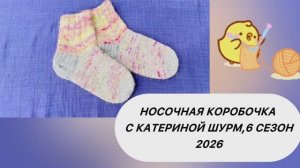“Носочная коробочка с Катериной Шурм, 6 сезон, 2026 год. Участник 5
