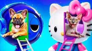 Строим домики для животных. Детское видео про животных