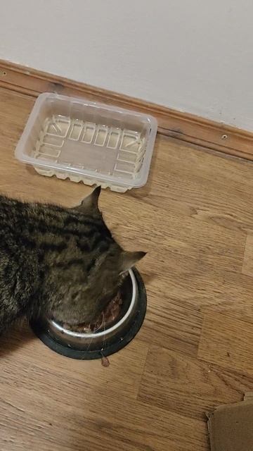 Снова живём! Волшебники, спасибо!