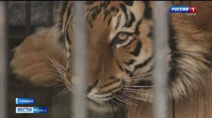 Вести-Томск, выпуск от 16.02.2026 11:30