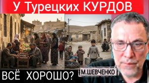 Курды, радикалы и Эрдоган. М.Шевченко 16-02-2026