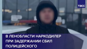 В Ленобласти наркодилер при задержании сбил полицейского