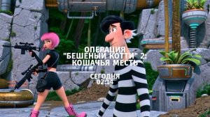 Операция "Бешеный Котти" 2: Кошачья месть - Сегодня. 02:14 (ТНТ. Ночное кино)