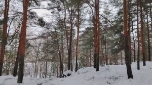 "Первобытные" понты и немного о финансовой грамотности