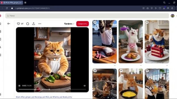 кот сходил в магазин и купил продукты