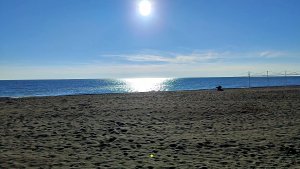 Февраль, плюс 17 градусов. Очередной привоз деревяшек для поделок и несколько тарелочек из самшита.