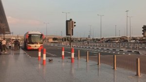 Прилетели в Аль-Мактум!