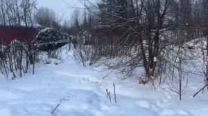 copy_50FF36F9-4C4D-45B0-9BE8-DA12106536A0