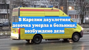 В Карелии медики не спасли ребенка с симптомами ОРВИ