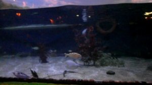 Харбин КНР 2013 год