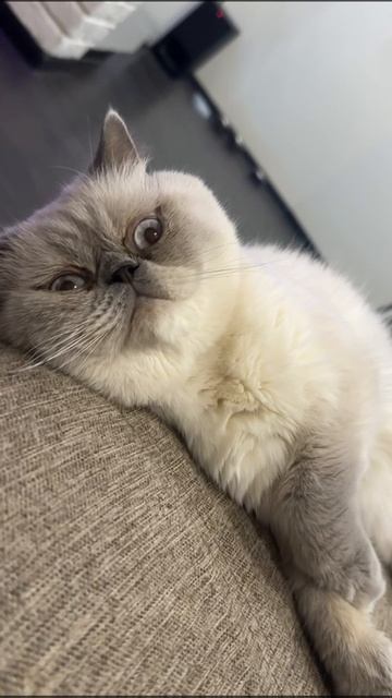 В голове 24/7 смотреть онлайн