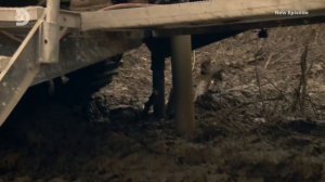 Золотая лихорадка 11 сезон 16 серия (реалити-шоу, 2020)