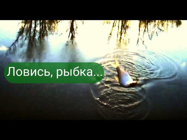✔ Весенняя рыбалка 29.09.2022✔