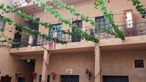 Утром на завтраке