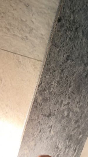 B08F91F3-5266-4678-B5EC-274ABE1B9F62