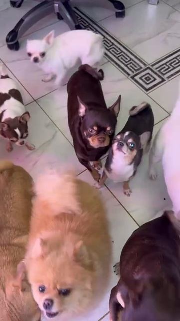 Команда ждунов. смотреть онлайн