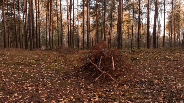 24 часа до смерти ЧАСТЬ 48