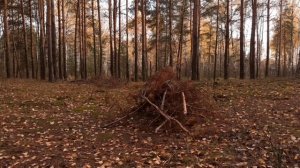 24 часа до смерти ЧАСТЬ 48