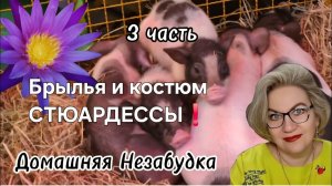 3 часть. БРЫЛЬЯ и костюм СТЮАРДЕССЫ❗️