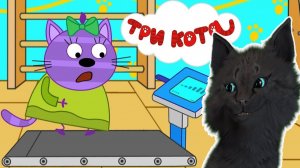 Три Кота Фитнес худеем с Горчицей и делаем прививки С ГОВОРЯЩИМ СУПЕР КОТОМ (ТРИ КОТА) #207