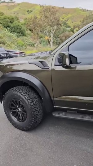 Shelter Green Raptor 🔥