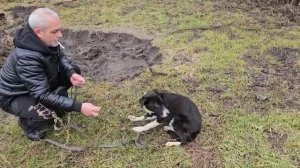 Андрей и Светлана Сытники - Проведали ковчег 🐈🐕🐕🦺