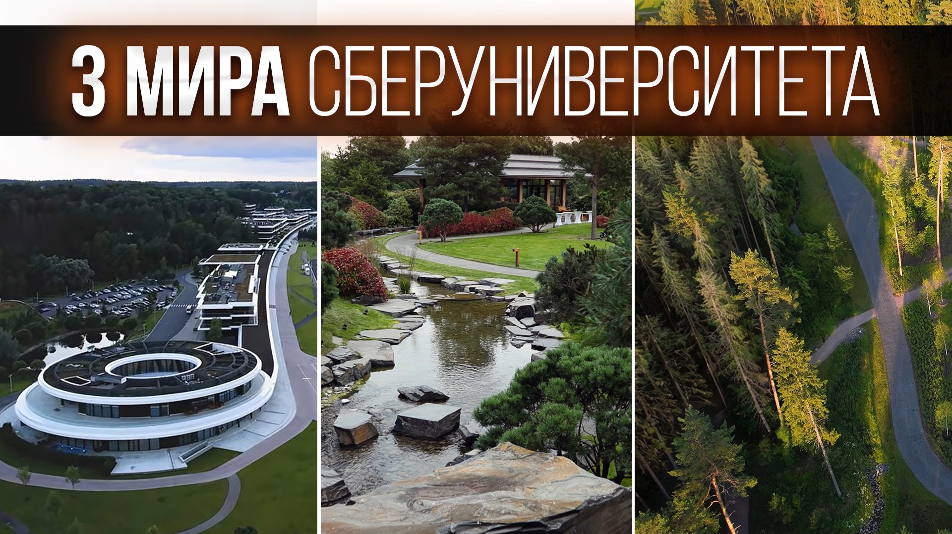 3 мира в одном Кампусе СберУнивеситета: европейский парк, японский сад и лесная тропа смотреть онлайн