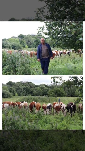 Липецк. Часть 6 езиды оказались богачами