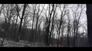 похищенный для леса ЧАСТЬ 29