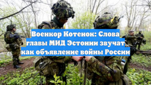 Военкор Котенок заявил об объявлении Эстонией войны России