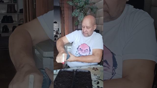 16.2.26...дачник...