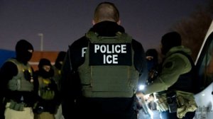 Франция и Польша резко увеличили поставки вина в Россию