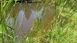 1000241933.mp4Не зря задобрил деда земляного.мини кошелечек.РСФСР.монет с серебром