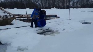 Зарыбление 16.02