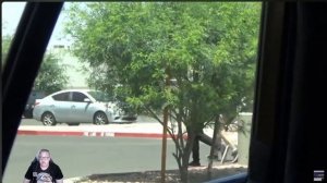 Финикс, штат Аризона: каменный мешок