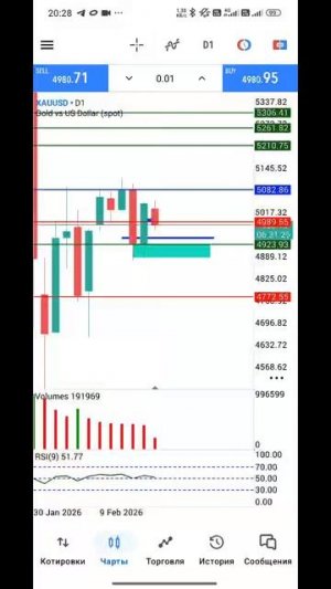Золото Форекс на 17.02.2026