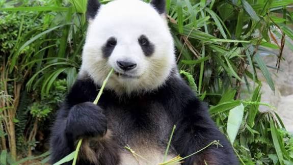 С понедельника по пятницу музыкальная автопауза/февраль смотреть онлайн