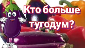 Баклажаны и перцы одновременно сажать на рассаду?